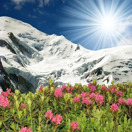 Шале Les Praz-de-chamonix Chalet Sleeps 11 *